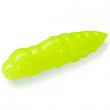 Pupa 1.5